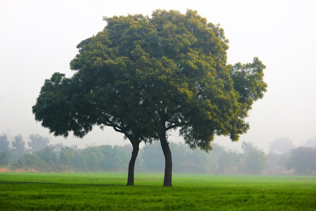 anuj jadon photography g2gtg06bw0e unsplash